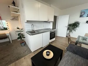 Pronájem bytu 1+kk, Praha, Hornoměcholupská, 26 m2