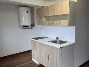 Pronájem bytu 1+1, Ostrava, Mariánskohorská, 31 m2