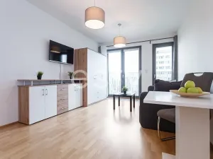 Pronájem bytu 1+kk, Praha - Žižkov, Olšanská, 35 m2