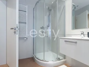 Pronájem bytu 1+kk, Praha - Žižkov, Olšanská, 35 m2