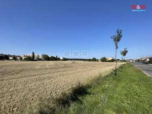Prodej pozemku pro bydlení, Břeclav - Charvátská Nová Ves, 2617 m2