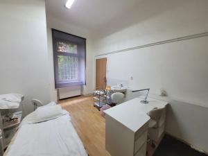 Pronájem obchodního prostoru, Brno, Hrnčířská, 58 m2