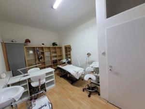 Pronájem obchodního prostoru, Brno, Hrnčířská, 58 m2