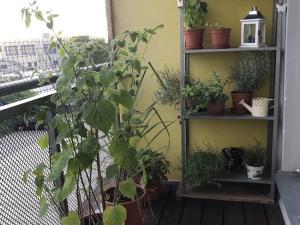 Pronájem bytu 3+kk, Brno - Slatina, Blažovická, 82 m2