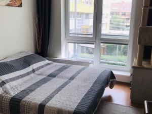 Pronájem bytu 3+kk, Brno - Slatina, Blažovická, 82 m2