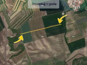 Prodej pozemku, Čejkovice, 11743 m2