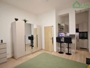 Pronájem bytu 1+kk, Brno, Koliště, 31 m2