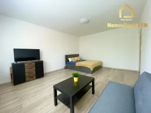 Pronájem bytu 1+1, Ostrava, Šeříková, 40 m2