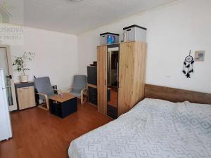 Pronájem bytu 1+kk, Ostrava, Sokolovská, 22 m2