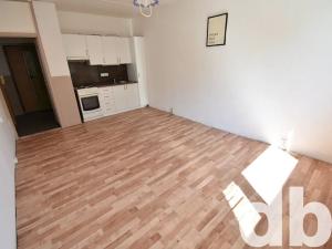 Pronájem bytu 1+kk, Karlovy Vary, Konečná, 23 m2