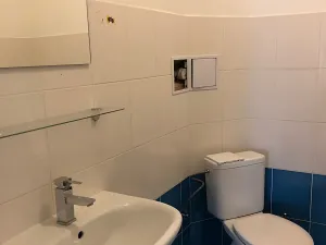Pronájem bytu 2+1, Děčín, Podmokelská, 55 m2