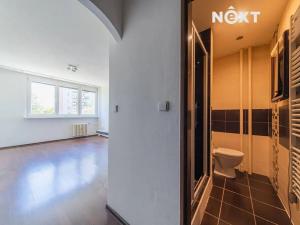 Prodej bytu 1+kk, Frýdek-Místek, 17. listopadu, 23 m2