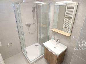 Pronájem bytu 1+kk, Brno - Horní Heršpice, Řepova, 48 m2