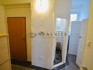 Pronájem bytu 1+1, České Budějovice, Fr. Hrubína, 55 m2