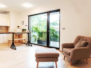 Pronájem bytu 1+kk, Brno, Kleštínek, 38 m2