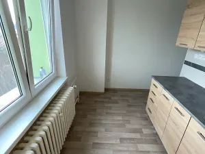 Pronájem bytu 1+1, Nový Jičín, Luční, 40 m2