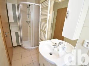 Pronájem bytu 1+kk, Karlovy Vary, Vítězná, 32 m2