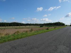 Prodej komerčního pozemku, Jevany, V Lánech, 9844 m2