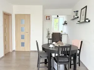 Pronájem bytu 3+kk, Liberec, Dvorská, 65 m2