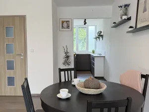 Pronájem bytu 3+kk, Liberec, Dvorská, 65 m2