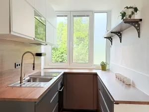 Pronájem bytu 3+kk, Liberec, Dvorská, 65 m2