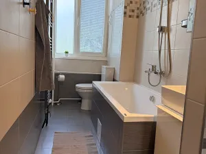 Pronájem bytu 3+kk, Liberec, Dvorská, 65 m2