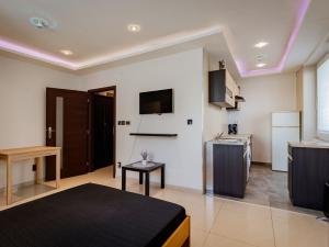 Prodej bytu 1+kk, Olomouc - Hodolany, Tovačovského, 33 m2