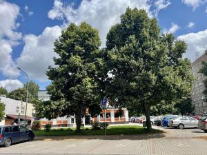 Pronájem bytu 3+1, Hlinsko, Družstevní, 73 m2