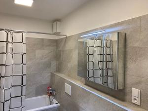 Pronájem bytu 1+kk, Odolena Voda, K Cukrovaru, 38 m2