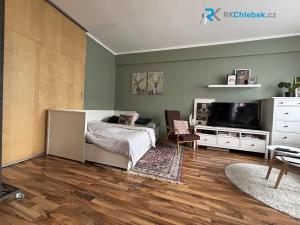 Pronájem bytu 1+kk, Ostrava, Sokolská třída, 28 m2
