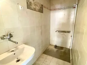 Prodej vícegeneračního domu, Lovosice, Dlouhá, 125 m2