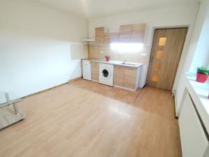 Pronájem bytu 1+kk, Ostrava, U Lípy, 28 m2