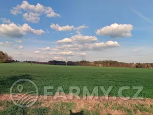 Prodej pole, Úštěk, 275659 m2