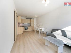 Pronájem bytu 2+kk, Plzeň - Východní Předměstí, Slovanská, 55 m2