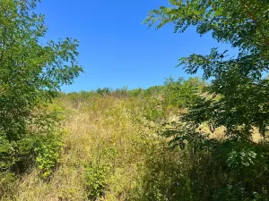 Prodej pozemku pro bydlení, Úholičky, 800 m2