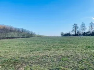 Prodej pozemku pro bydlení, Oskava, 3293 m2