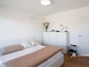 Pronájem bytu 2+kk, Brno, Lidická, 60 m2