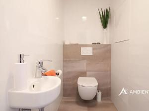 Pronájem bytu 2+kk, Brno, Lidická, 60 m2