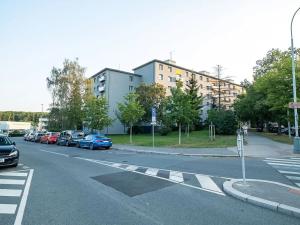 Pronájem bytu 2+1, Praha - Žižkov, Pod lipami, 52 m2