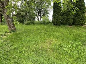 Prodej pozemku, Pivín, 80 m2