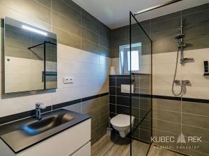 Pronájem bytu 2+kk, Sezimovo Ústí, Pod Kovosvitem, 43 m2