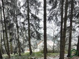 Prodej pozemku pro bydlení, Gruna, 1753 m2