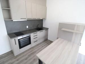 Pronájem bytu 1+kk, Zbiroh, Majerové, 36 m2