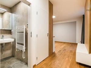 Pronájem bytu 3+kk, Brno, Stavební, 57 m2