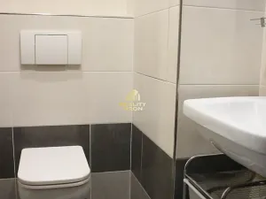 Pronájem bytu 2+1, Chomutov, Vrchlického, 55 m2