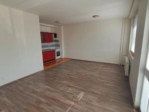 Pronájem bytu 1+kk, Liberec, Pivovarská, 42 m2