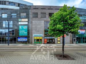 Pronájem kanceláře, Liberec, 1. máje, 59 m2