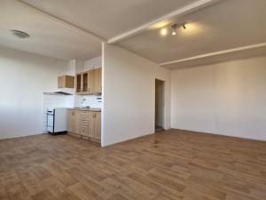 Pronájem bytu 1+1, Most, Javorová, 35 m2