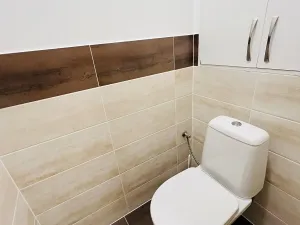 Pronájem bytu 1+1, Olomouc, Foerstrova, 43 m2
