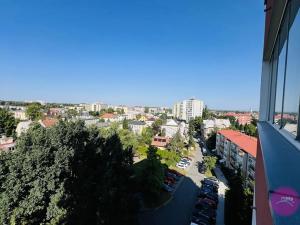 Pronájem bytu 1+1, Olomouc, Foerstrova, 43 m2